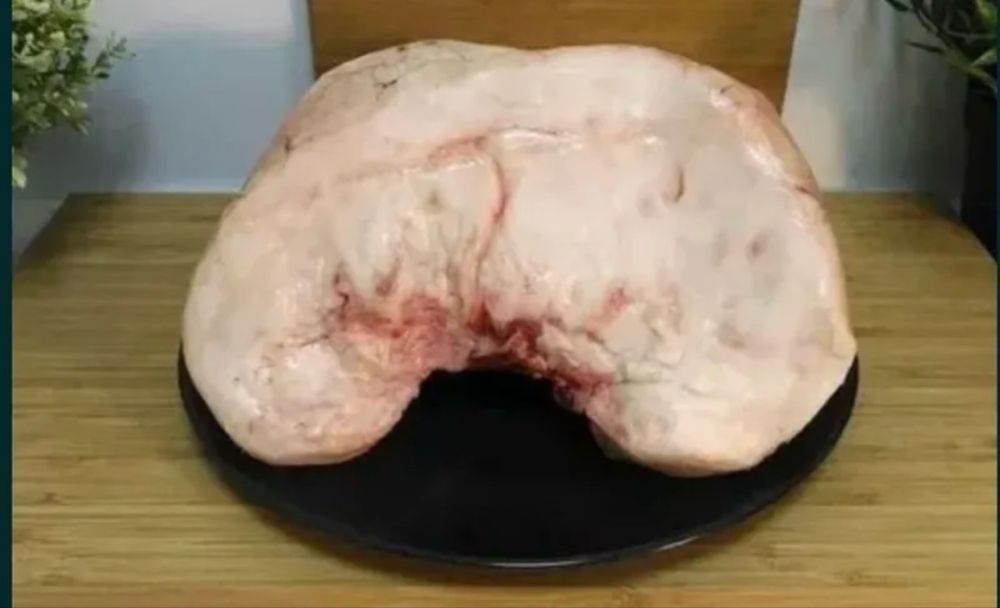 Jaydari dumma sotiladi