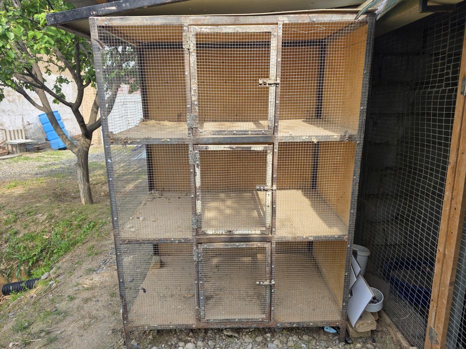 Клетка 3 этажлик