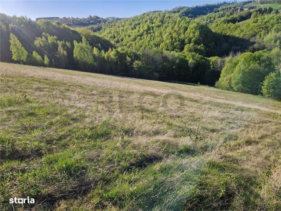 RECO, teren intravilan, Zona Sinteu, Bihor