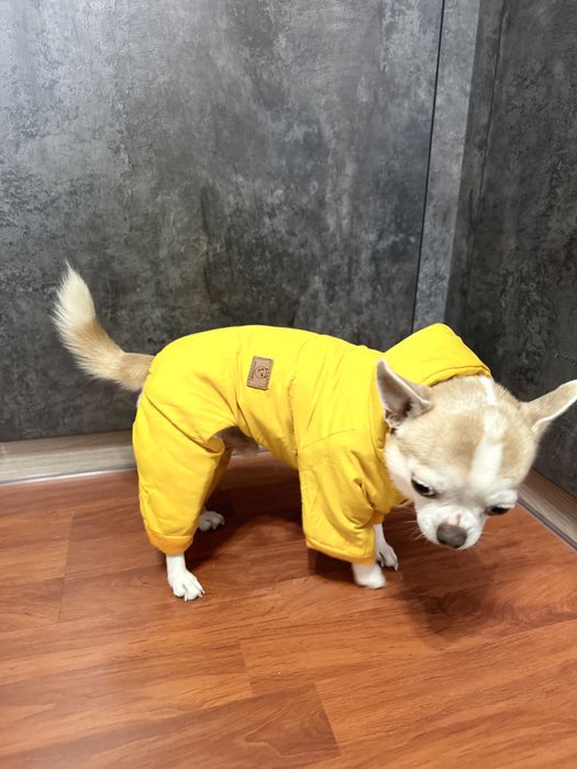 Продается НОВЫЙ комбинезон для собак