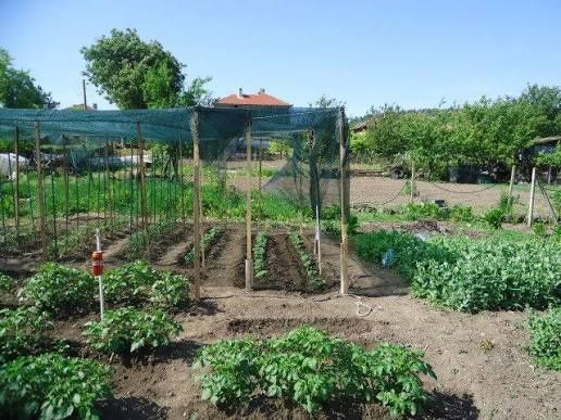 Био Тор за зеленчуци и овощни дръвчета (50литра-12лв). Биотор от ЧКЧ