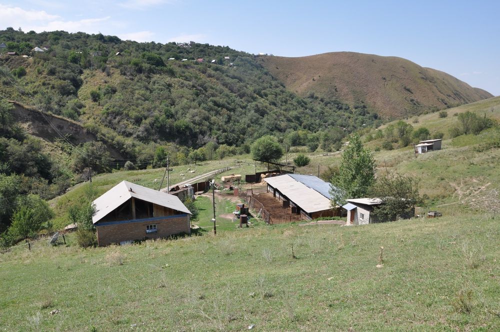 Продам или сдам КХ