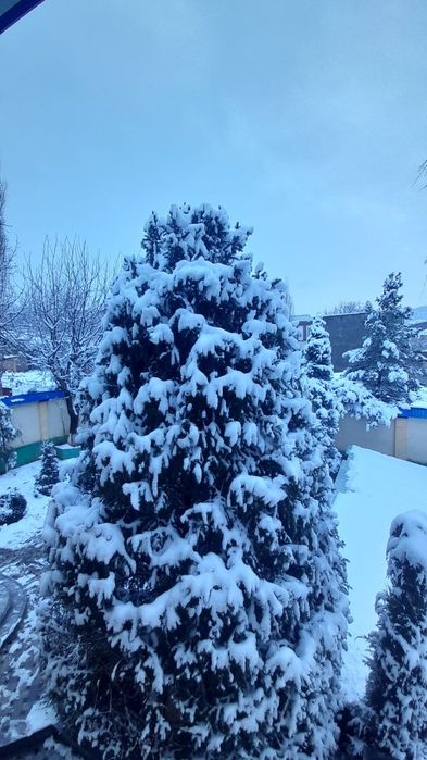 Аренда Дачи,Villa Bars,,возле Бочки.Без посредников.