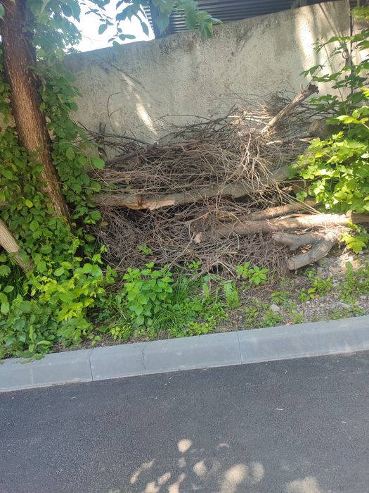 Отдам даром дрова