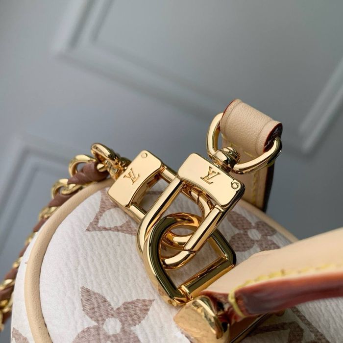 Geanta Louis Vuitton Vanity Pouch