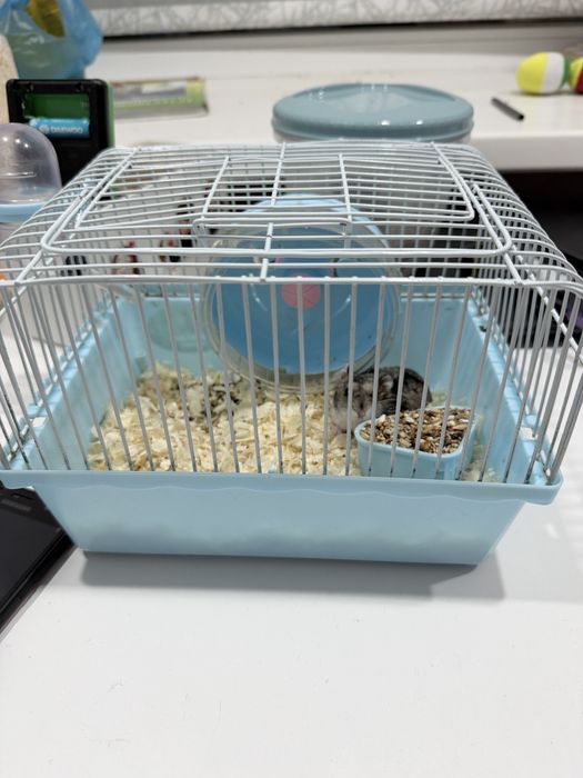 Хомяки с клеткой