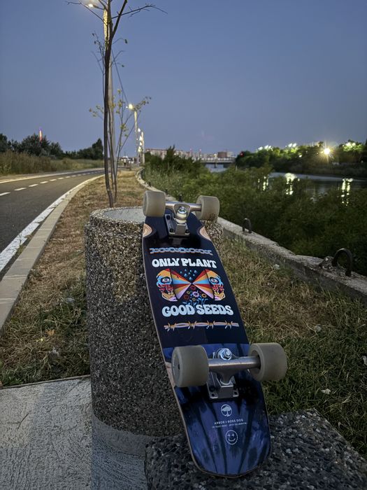 Vand skateboard cruiser Pocket Rocket Arbour