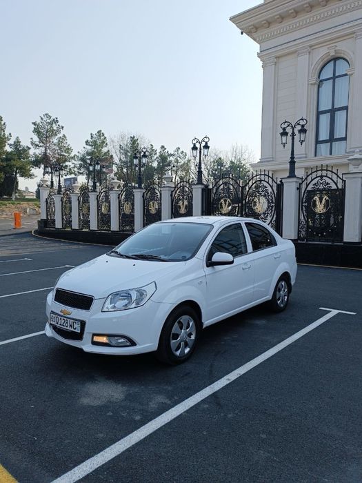 Suxoy Arenda Spark | Сухой Аренда Спарк | Suhoy Arenda Spark