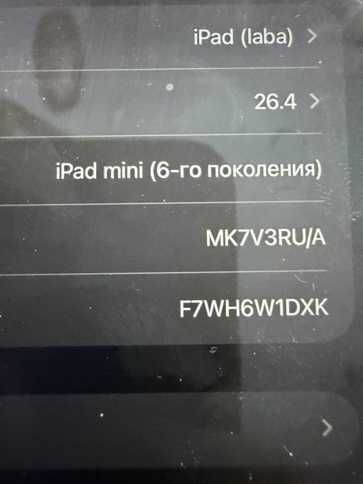 iPad mini 6 256gb(6-то поколение) + писалка Baseus