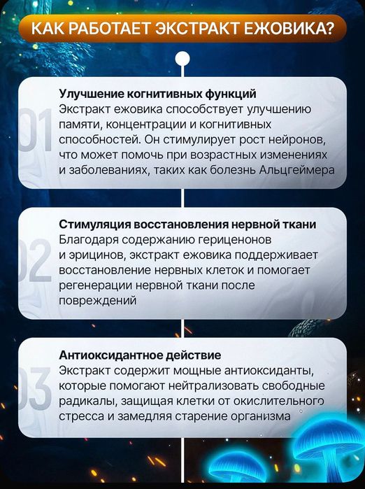 Ежовик гребенчатый - экстракт жидкий