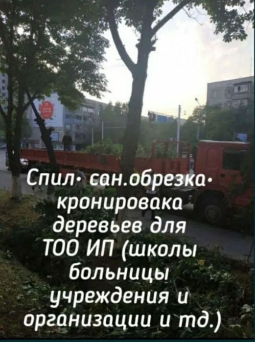 Спил деревьев, озеленение,газон,комписационная посадка, лесопатология