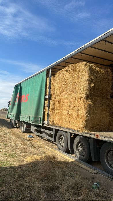 Vand baloti dreptunghiulari de fan