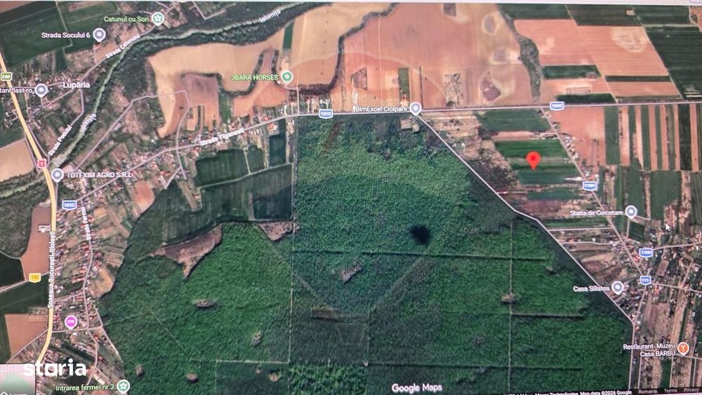 Teren 704 mp Silistea Snagovului vecinatate Padurea Snagov