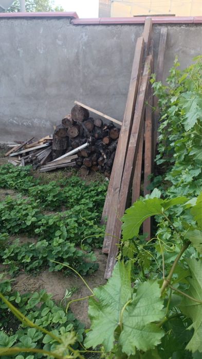 Продается дрова от черешни и доски квадрат