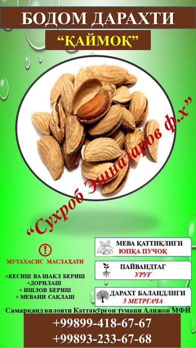 Мевали кўчатлар сифатли ва ишончли