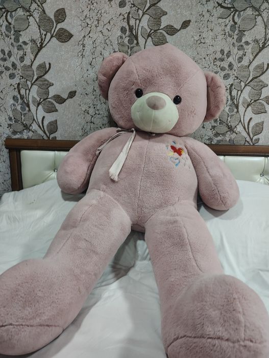 Yumshoq igrushka ayiqlar