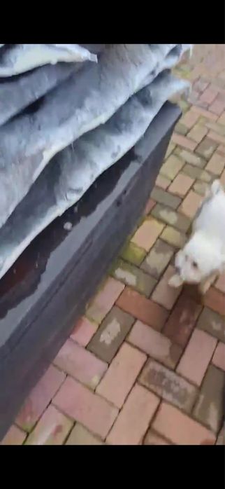 panouri decorative din poliuretan  2 m2 iadi centrubtg cucu