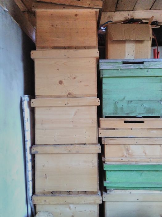 cutii albine  noi , echipate