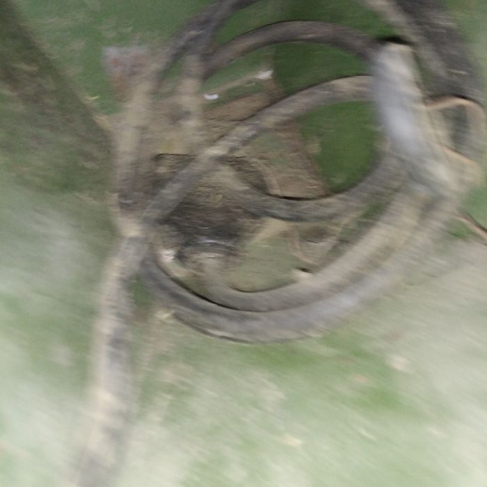 3фазна Чукова ярмомелка