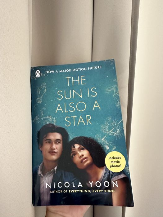 Книга - The sun is also a star