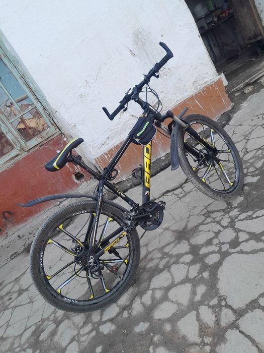 Velosepet.   Qattiq diskali