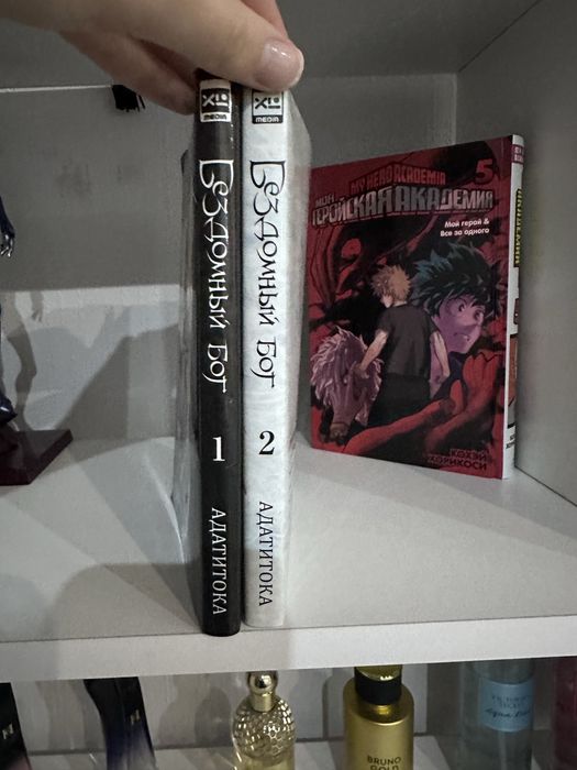 Первый и второй том бездомный бог