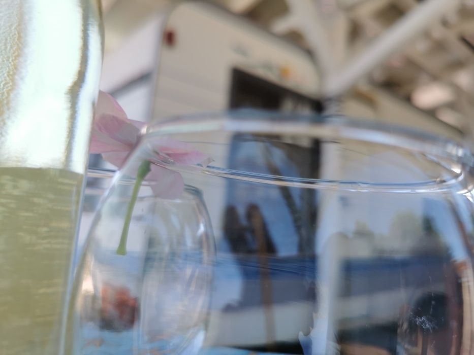 Каравана за на брега на морето , ЛЯТО 2026