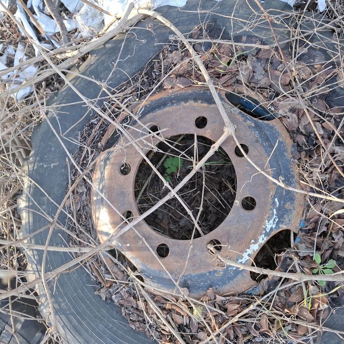 Джанти  за Прага