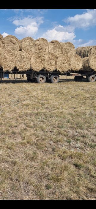 Сено равнотравие