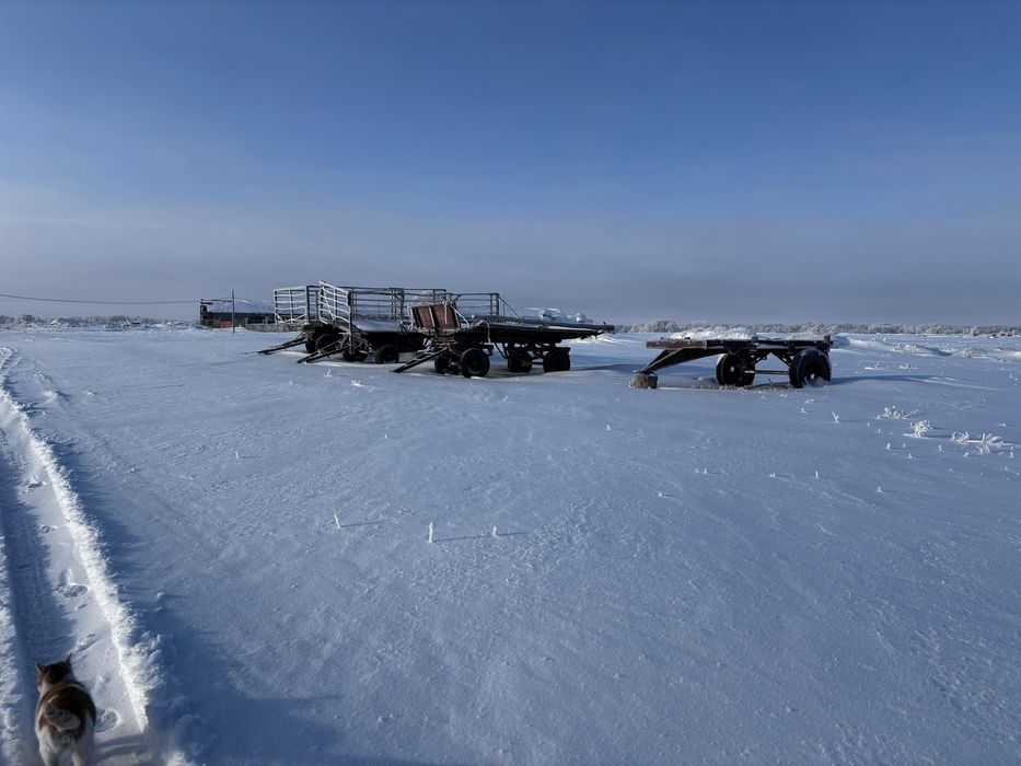 Шаруа қожалығы сатылады