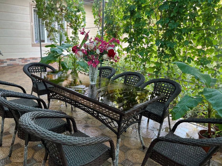 Ratan stol sutullar olami