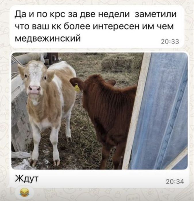 Комбикорм «Мичуринский» полнорационные корма