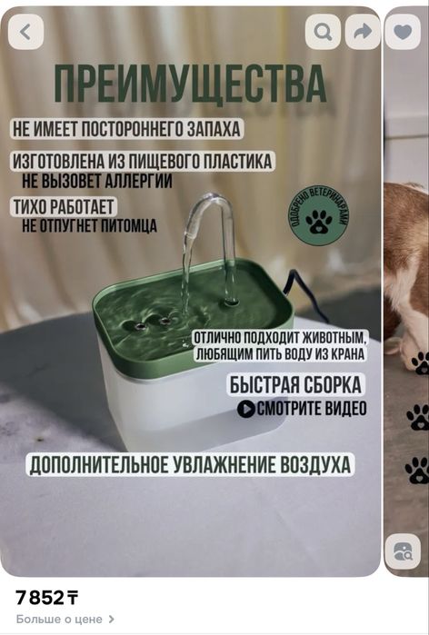 фонтан поилка для котов