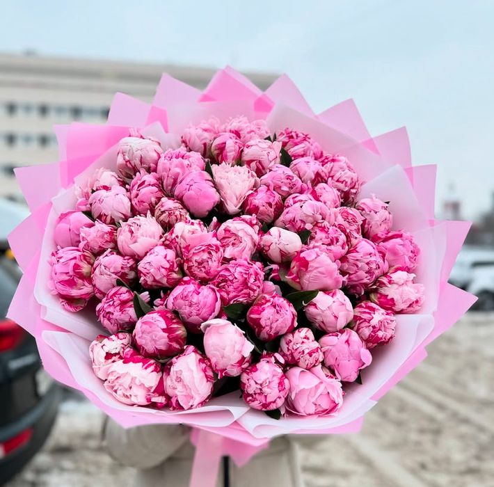 Пионы Пионы Пионы