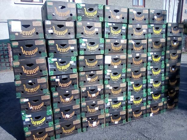 Vind baxuri baxuri banane cuti banana