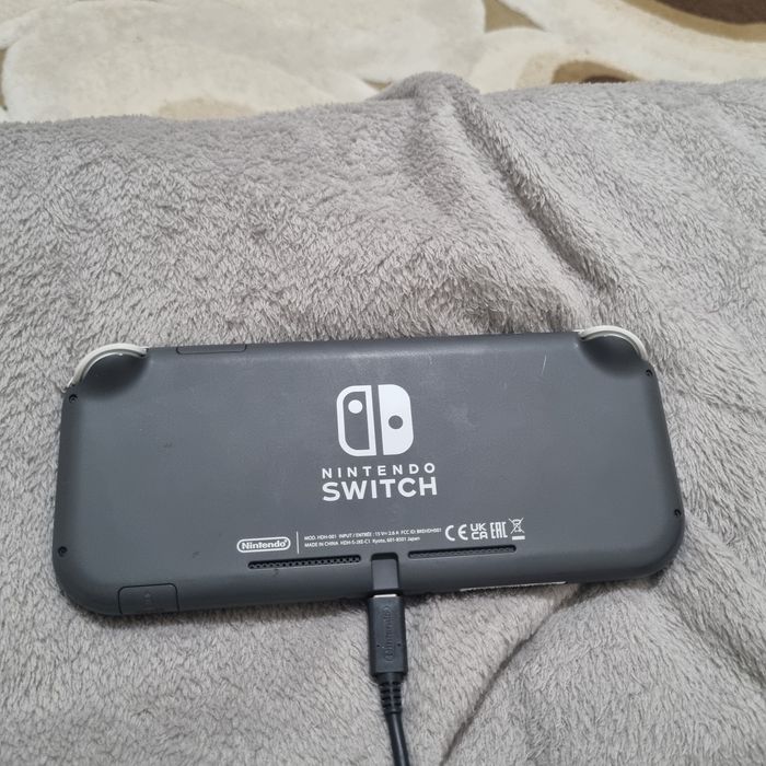 Nintendo switch lite