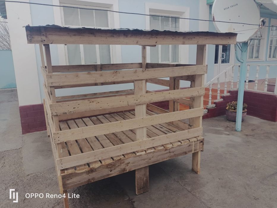 Қой қора бордақылауға