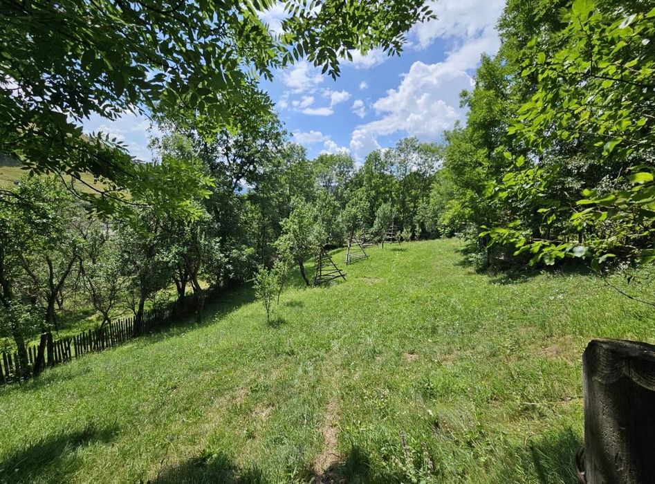 Teren intravilan 1.131 mp | Valea Doftanei | panorama spre munte