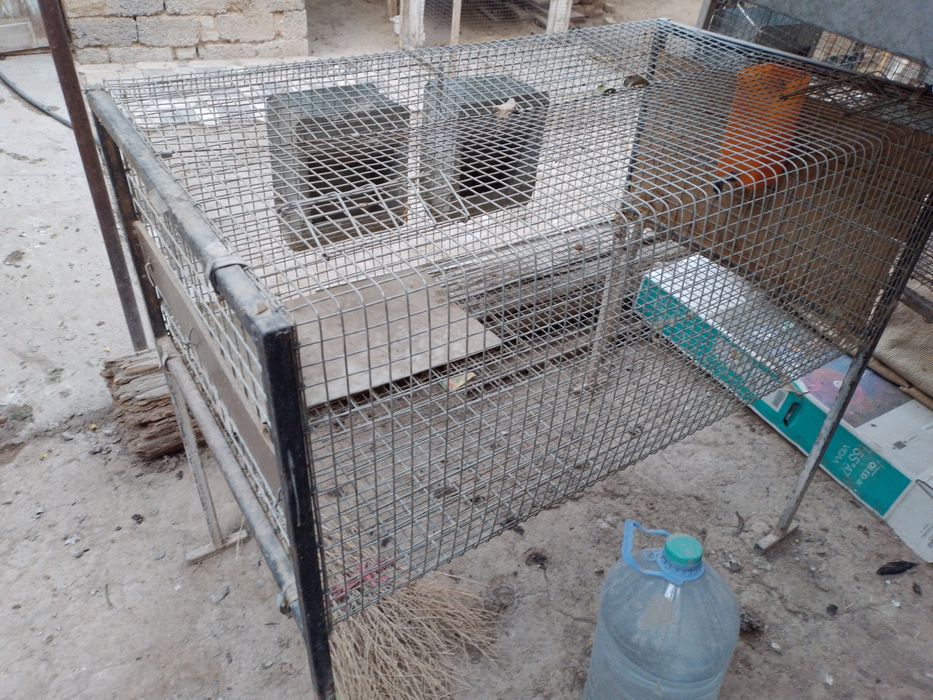 Нержавеющая клетка для кроликов