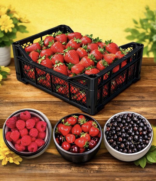 Пластиковые ящики/корзинки