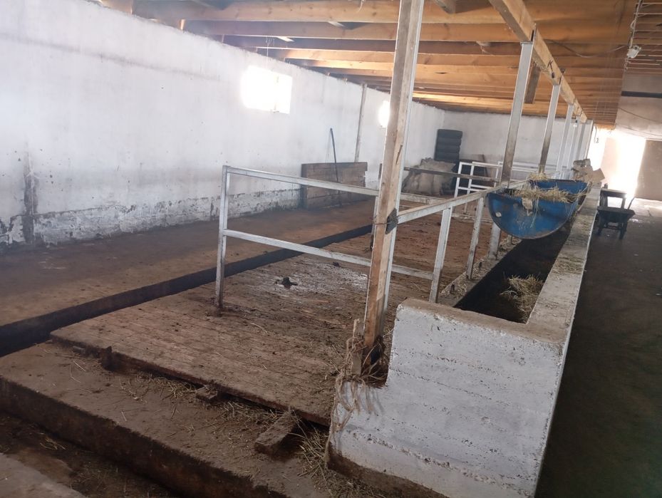 Откорм база вблизи Астаны