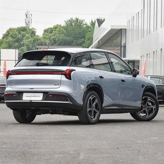 NETA L на заказ (buyurtma asosida)