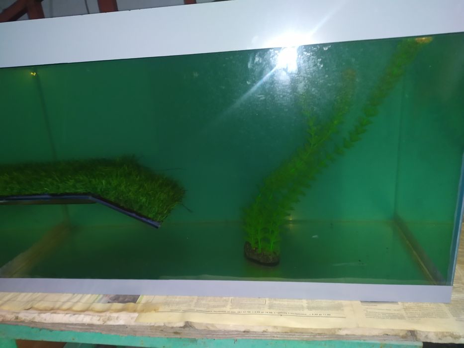 Аквариум с сушей для черепах.