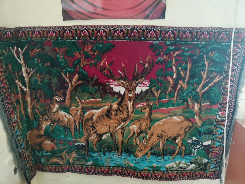 De vanzare o carpeta