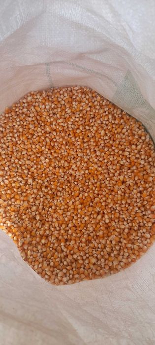 Попкорн  на прод