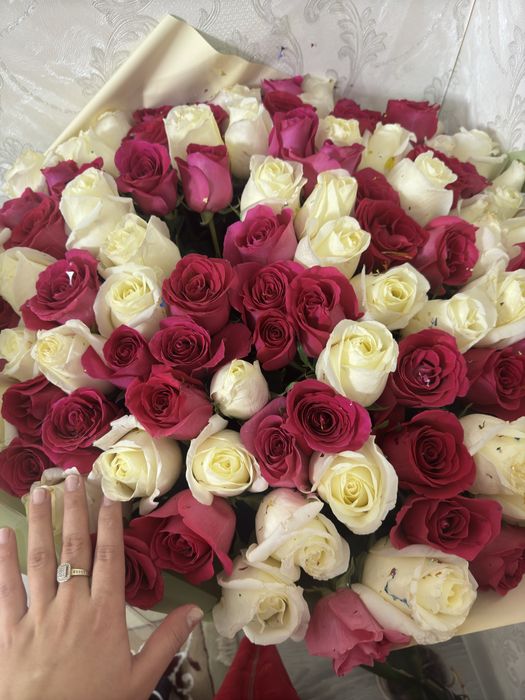 голландские розы