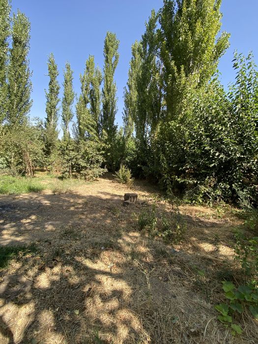 Продается участок в Бостанлыкском районе, Думалак