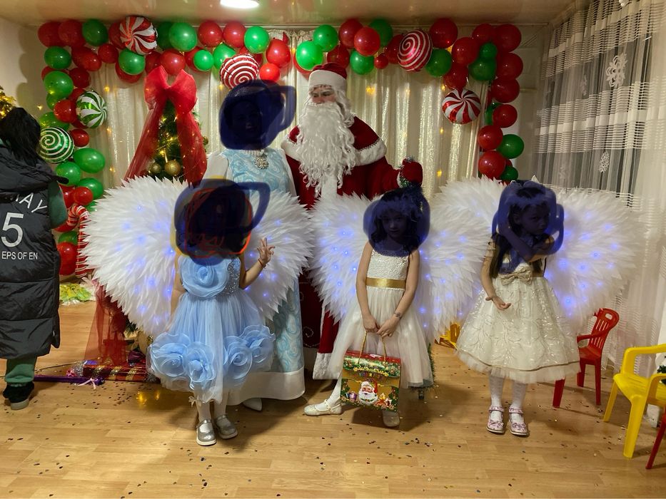 Крылья  60*70 см