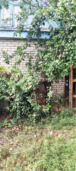 Продам дачу ,общество Вагонник