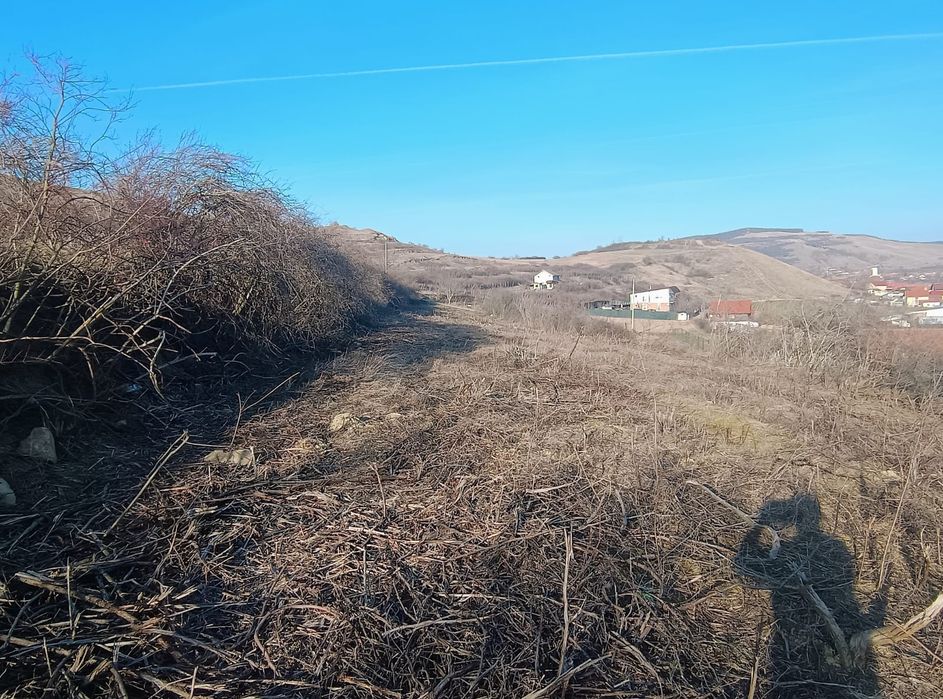 Teren de vanzare - loc. Sard - 1700 m2